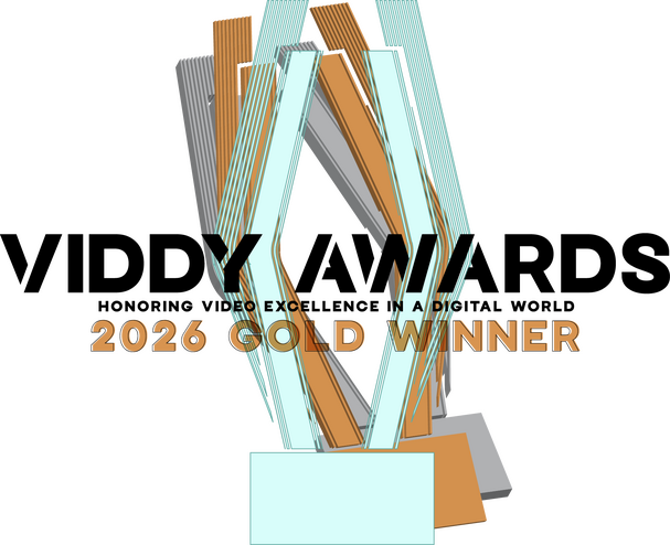Viddy Awards Viddy Awards